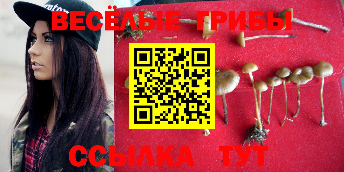 Галлюциногенные грибы MAGIC MUSHROOMS Шелехов